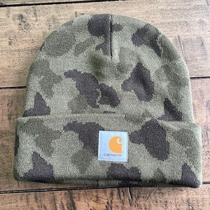 Carhartt winter hat